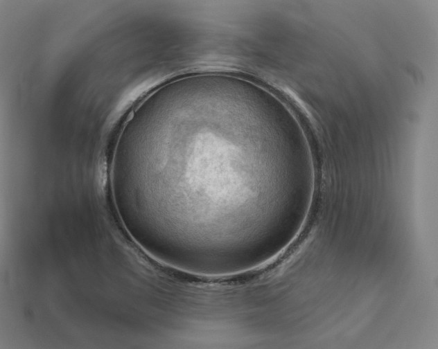 X0000113961461200909251350