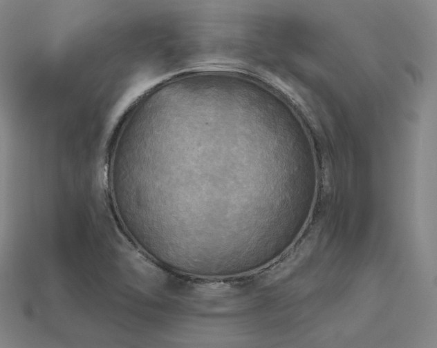 X0000113961462200909251350