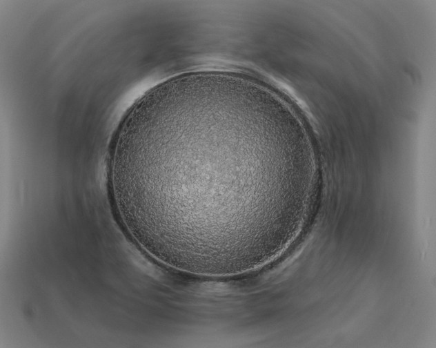 X0000113961463200909251350
