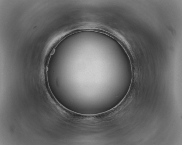 X0000113961464200909251350