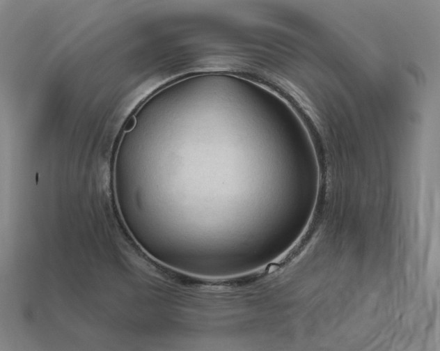 X0000113961465200909251349