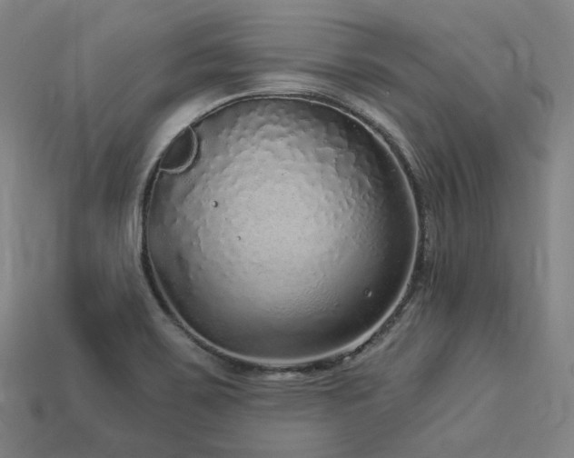 X0000113961467200909251349