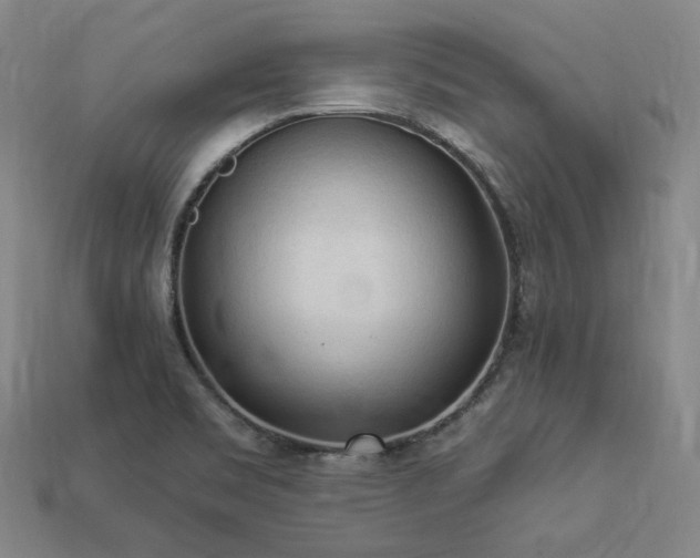 X0000113961469200909251349