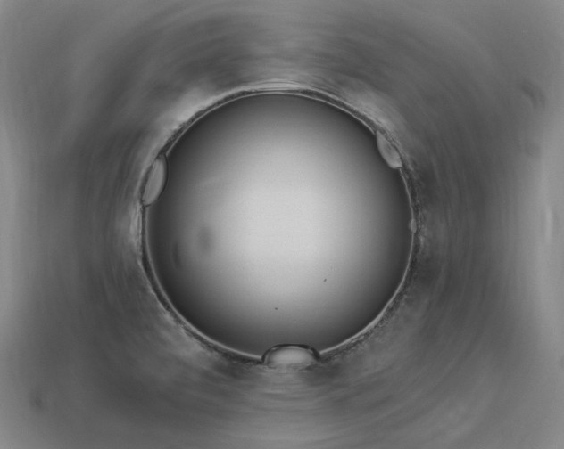 X0000113961472200909251349
