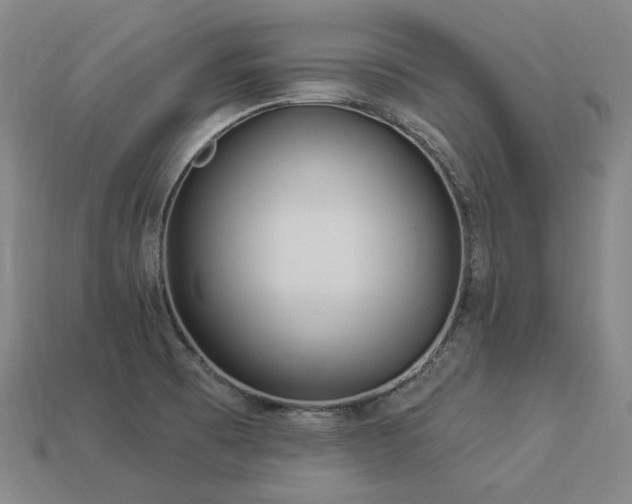 X0000113961473200909251349