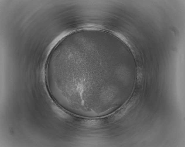 X0000113961474200909251349