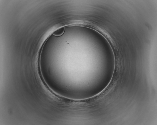 X0000113961475200909251349