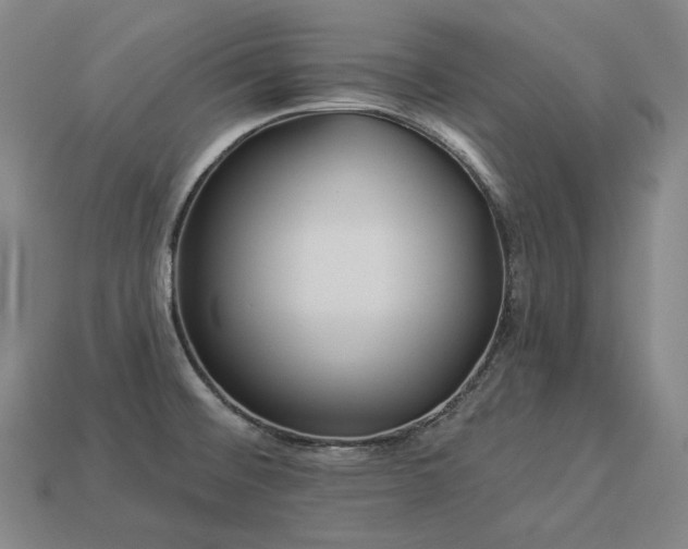X0000113961476200909251349