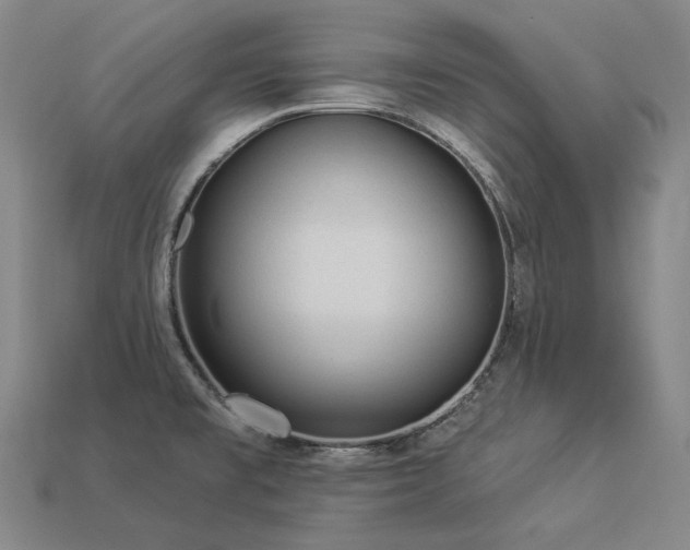 X0000113961477200909251349