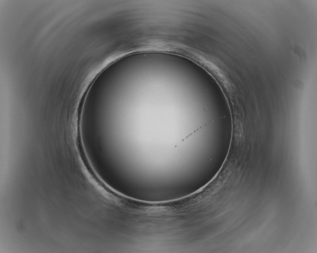 X0000113961479200909251349