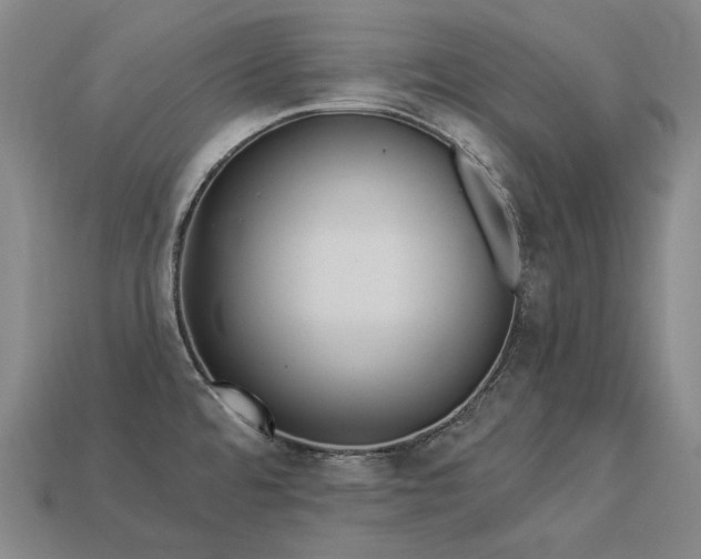 X0000113961480200909251349