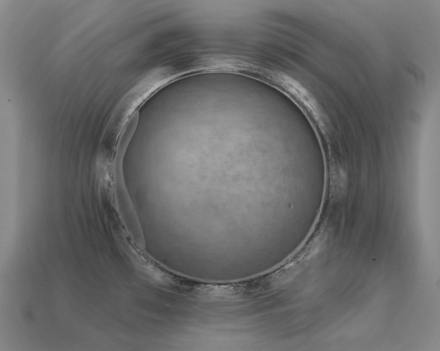 X0000113961481200909251349