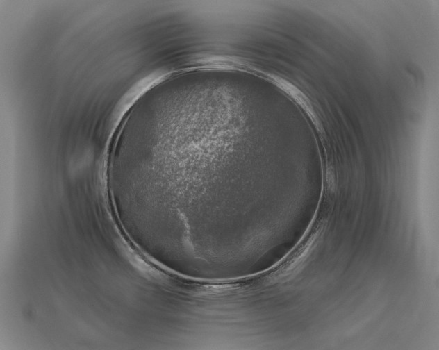 X0000113961482200909251349