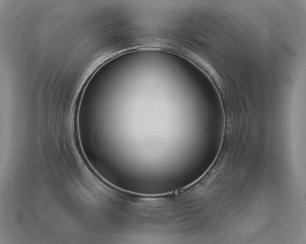 X0000113961483200909251349