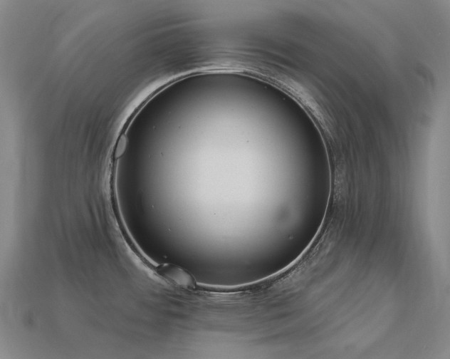 X0000113961484200909251349