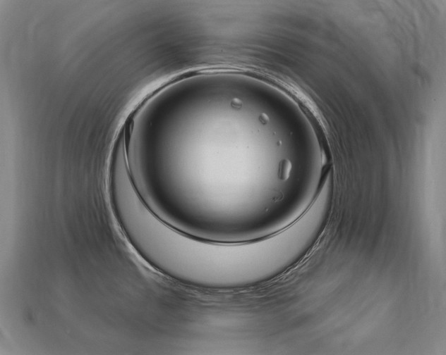 X0000113961485200909251349