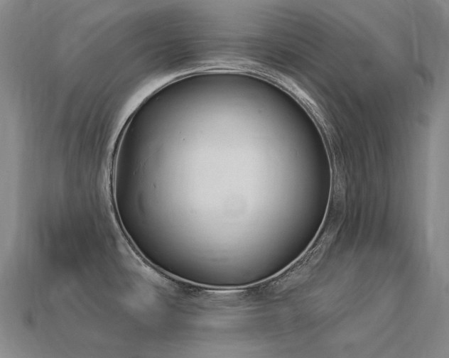 X0000113961486200909251349