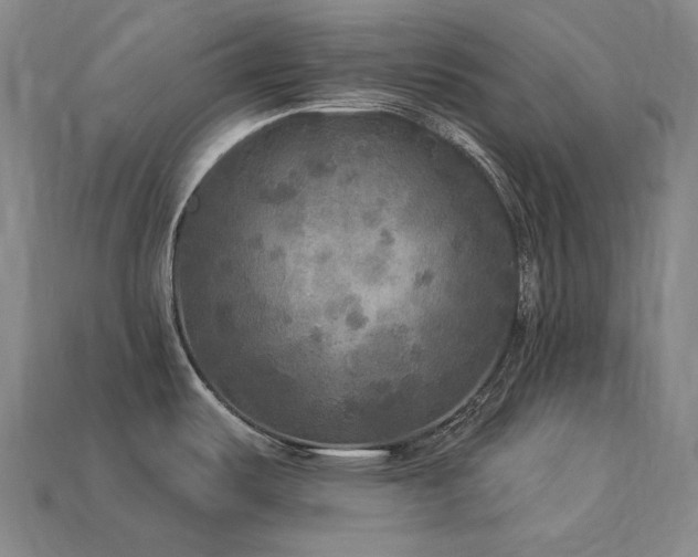 X0000113961487200909251349