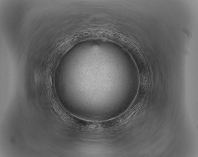X0000113961489200909251348