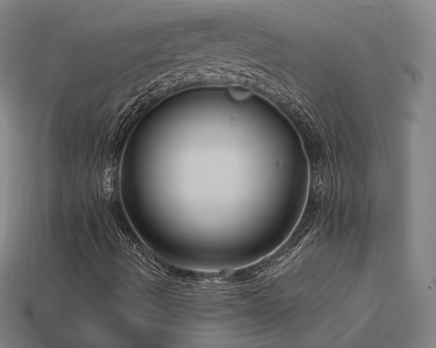 X0000113961490200909251348