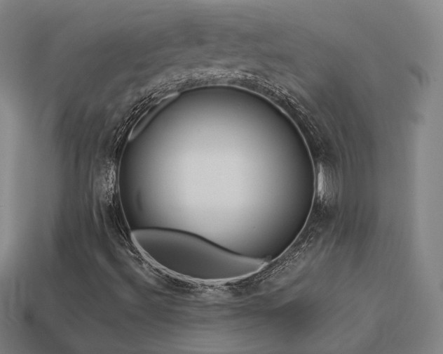 X0000113961492200909251348