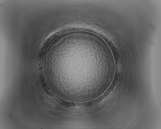 X0000113961494200909251348