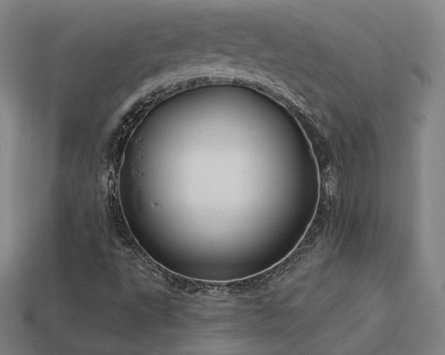 X0000113961495200909251348