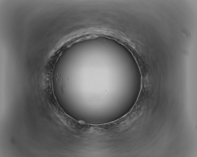 X0000113961496200909251348