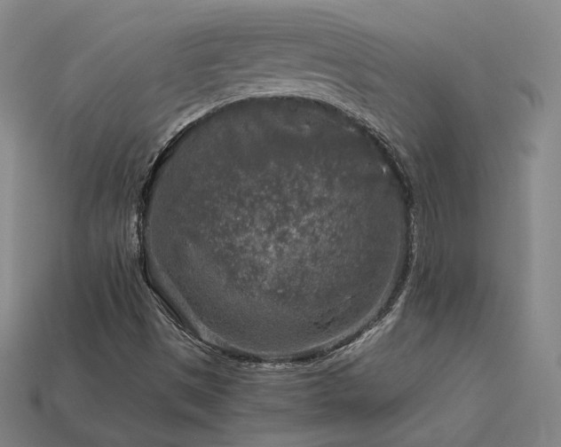 X0000113961497200909251348