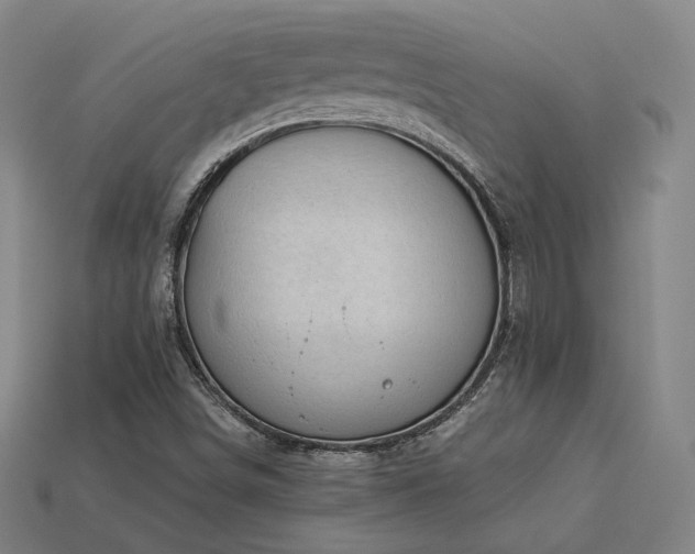 X0000113961498200909251348