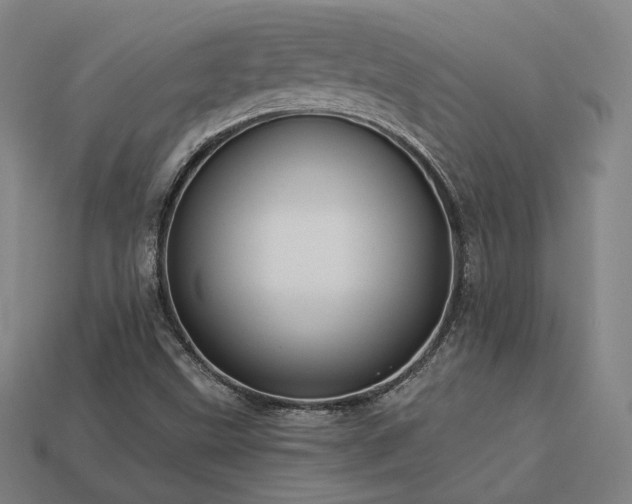 X0000113961499200909251348