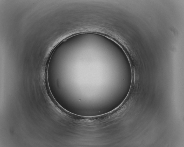 X0000113961500200909251348