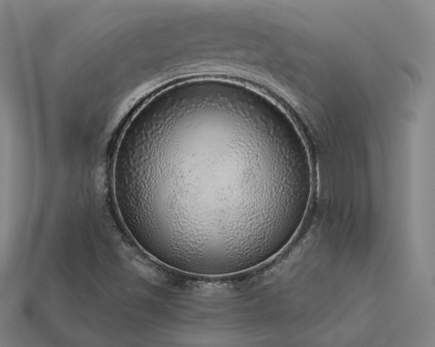 X0000113961501200909251348