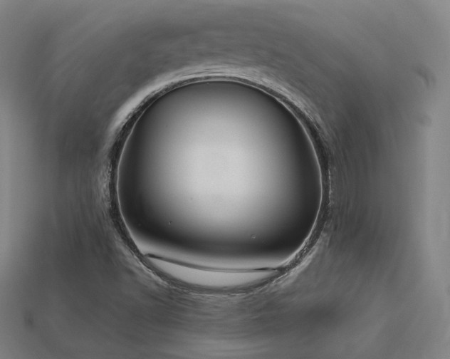 X0000113961502200909251348