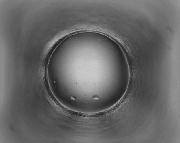X0000113961503200909251349