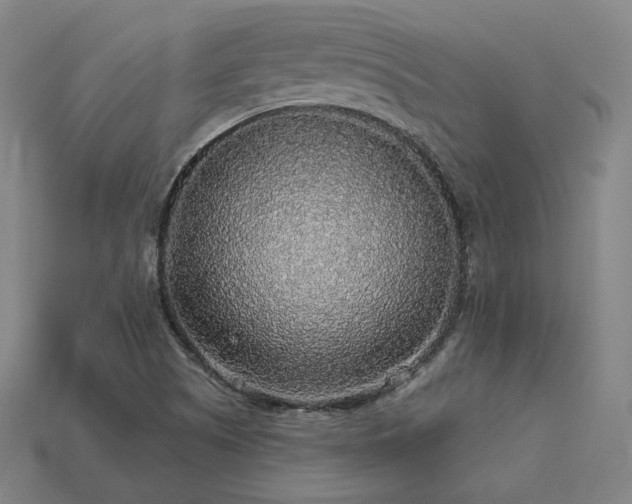 X0000113961505200909251349