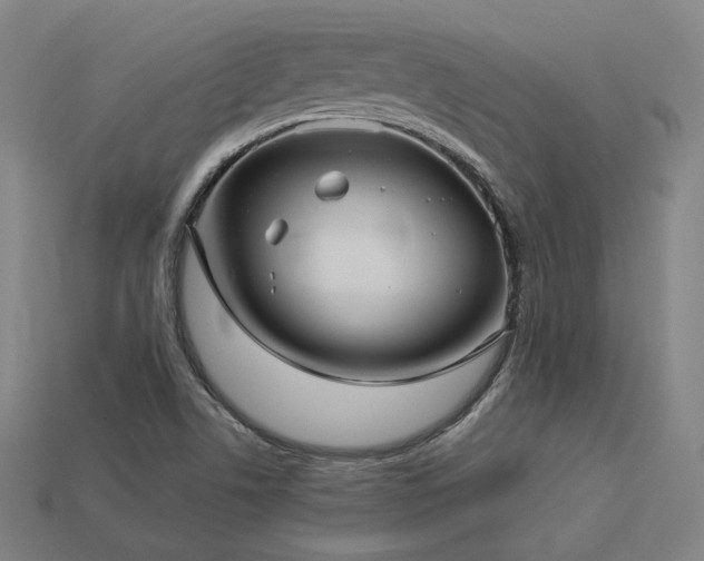 X0000113961506200909251349