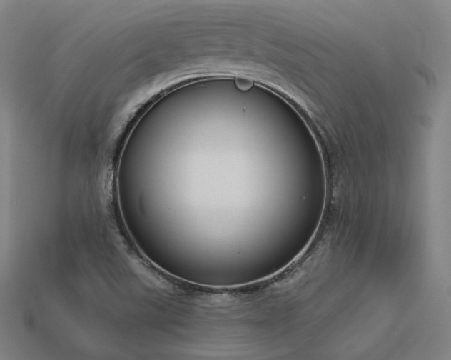 X0000113961507200909251349