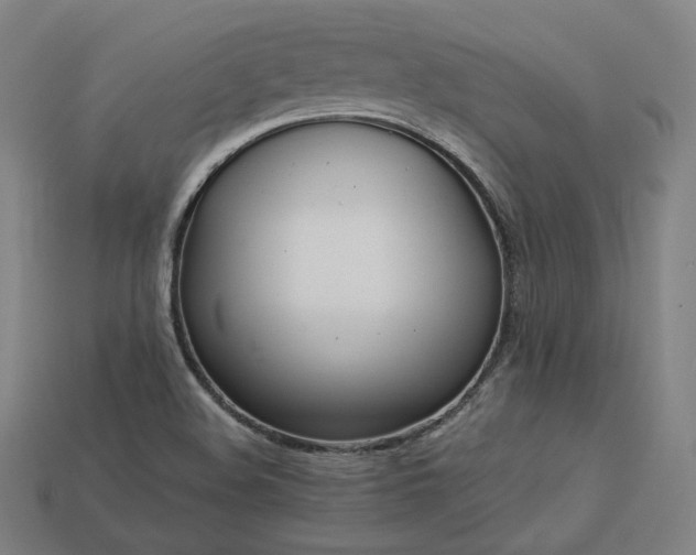 X0000113961508200909251349