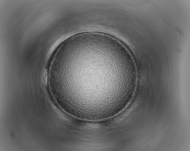 X0000113961509200909251349