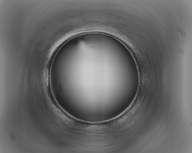 X0000113961510200909251349