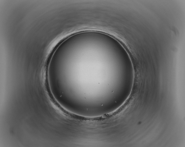X0000113961511200909251349