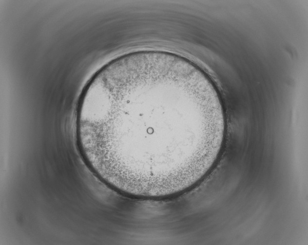 X0000113961514200909251349