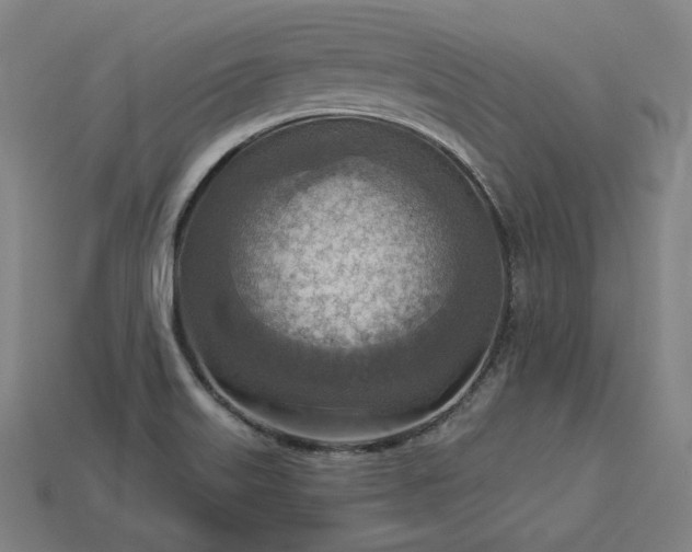 X0000113961515200909251349