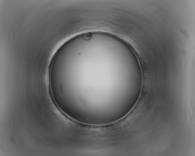 X0000113961516200909251349