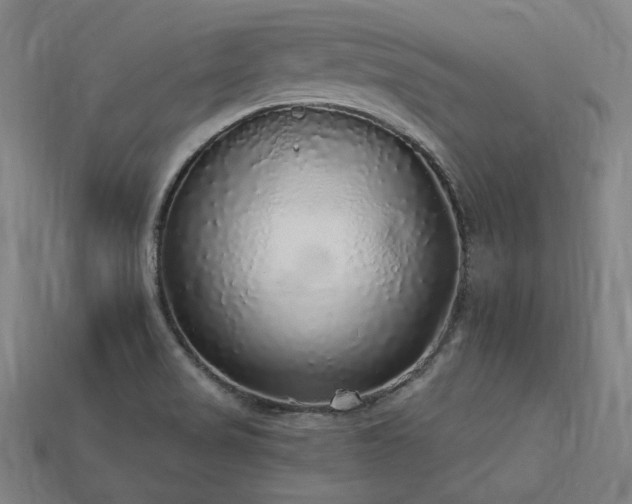X0000113961517200909251349