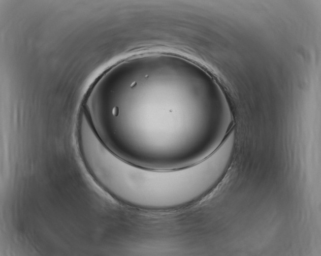 X0000113961518200909251349
