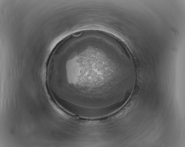 X0000113961519200909251349