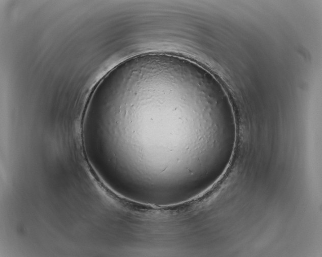 X0000113961521200909251349