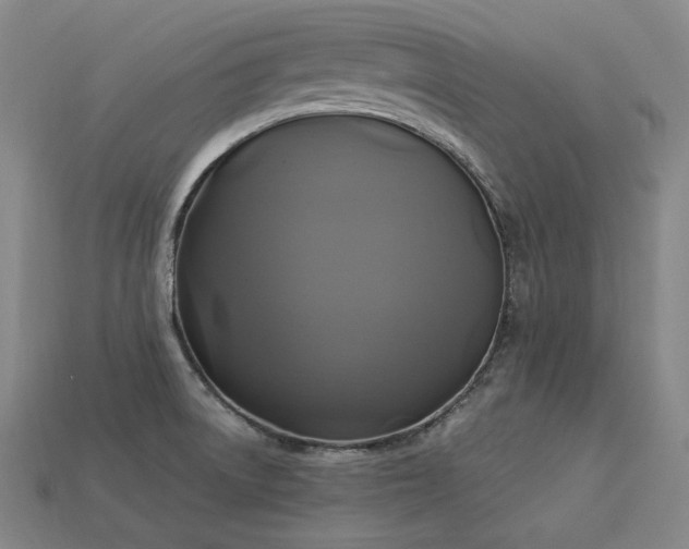 X0000113961522200909251349